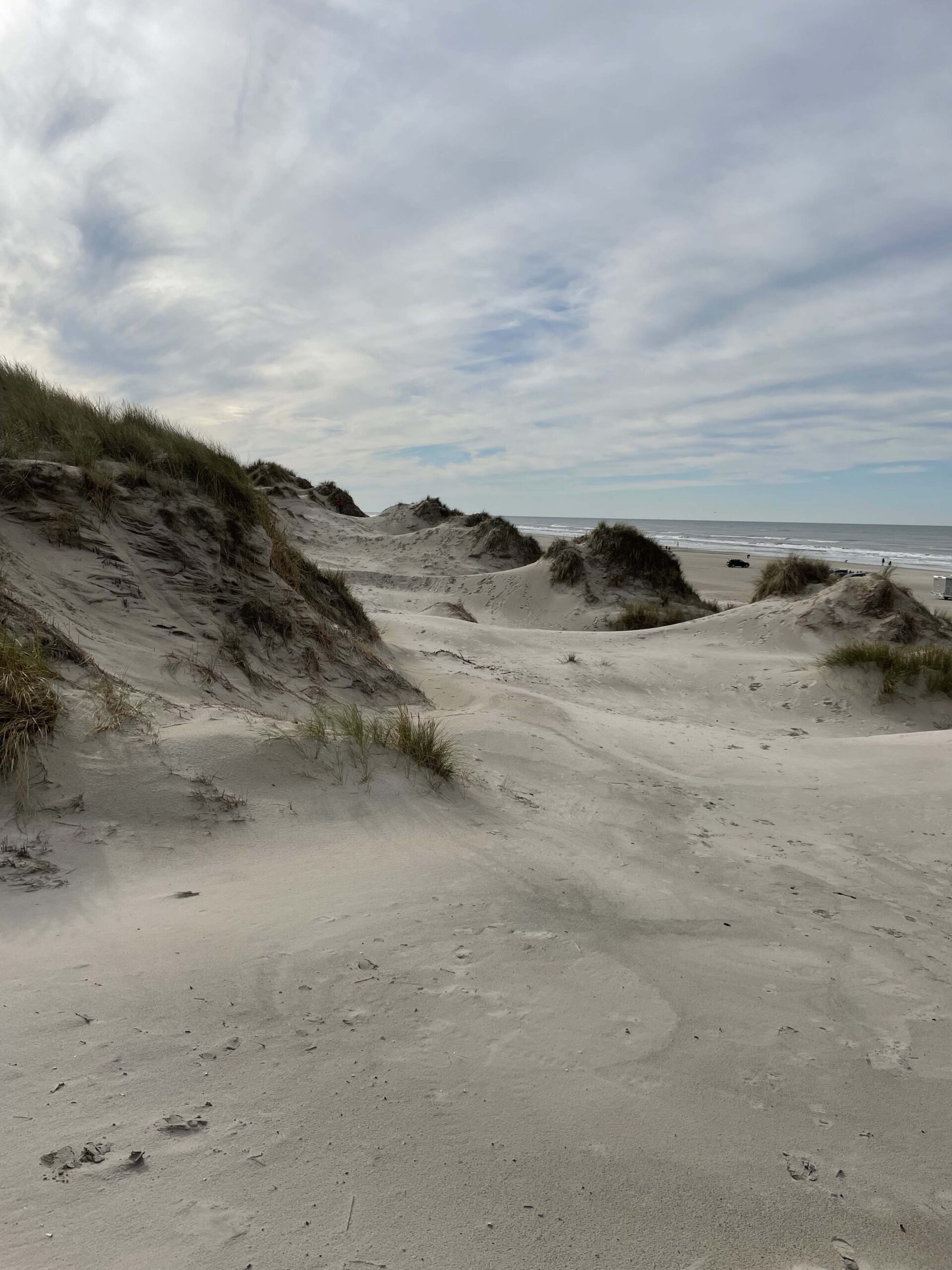 En sandstrand med klitter og hav i baggrunden.